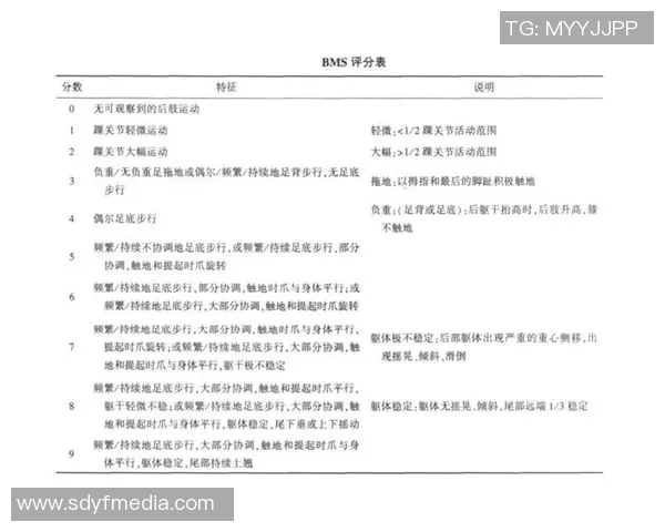 武汉足球队在全国锦标赛中的技术表现分析与点评