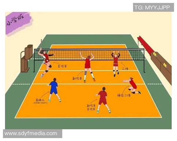 赛后分析：西安排球队与南京排球队灵活性对比及战术探讨