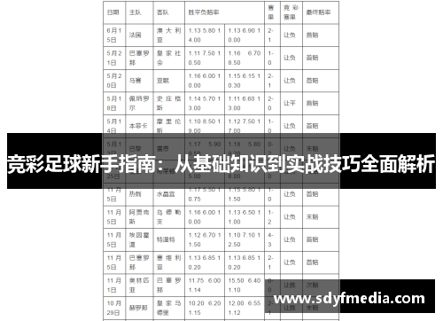 竞彩足球新手指南：从基础知识到实战技巧全面解析